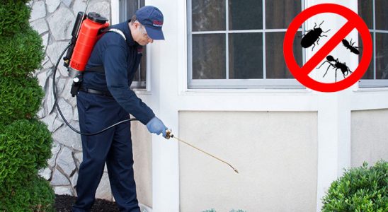 Çelikhan Kemirgen İlaçlama böcek ilaçlama ve haşere kontrolü — ilaclama-tr.com